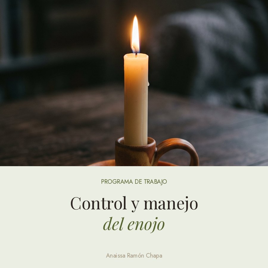 Control y manejo del enojo